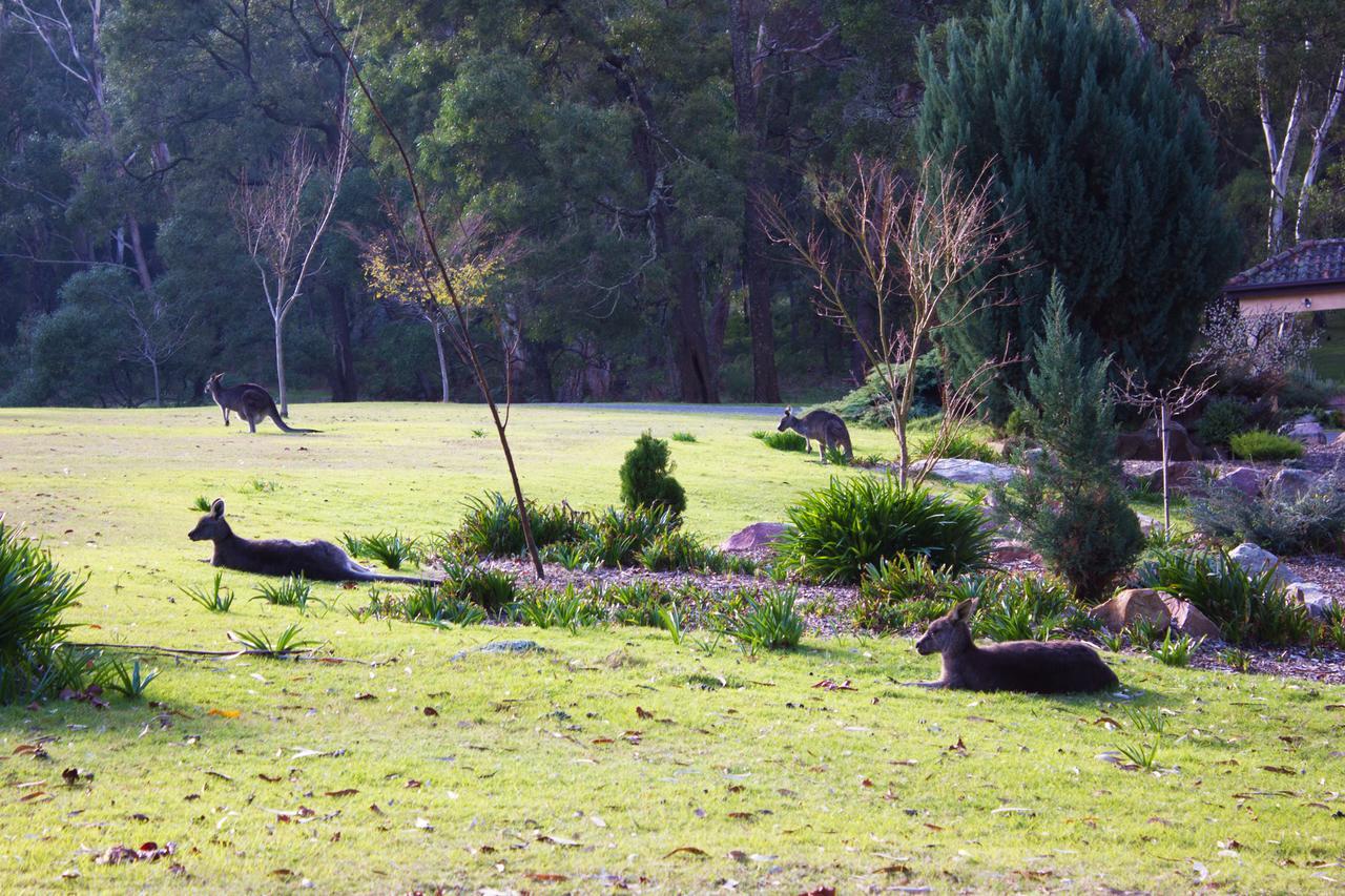 Marwood Villas Halls Gap Luaran gambar